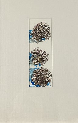 Lot 40 - Beverley Fry (b.1948) Three Fir Cones