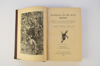 Lot 1016 - BATES, Henry Walter, The Naturalist on the River Amazons. A Record of Adventures, Habits of Animals, Sketches of Brazilian and Indian Life