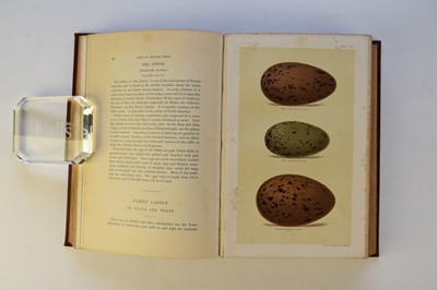 Lot 1029 - SEEBOHM, Henry, Coloured Figures of the Eggs of British Birds. Sheffield 1896. With fronts and 60 plates.