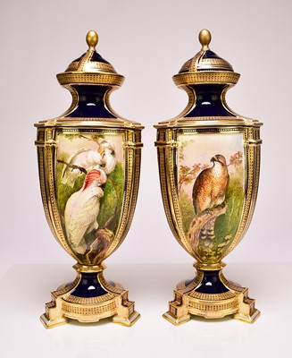 Lot 200 - A pair of Coalport ornithological vases and covers by John Randall