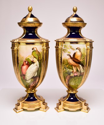 Lot 200 - A pair of Coalport ornithological vases and covers by John Randall