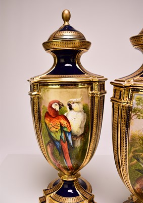 Lot 200 - A pair of Coalport ornithological vases and covers by John Randall