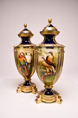 Lot 200 - A pair of Coalport ornithological vases and covers by John Randall