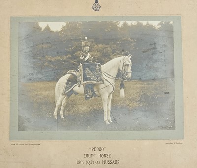 Lot 49 - Photograph of Pedro the Drum Horse from 18th (Queen Mary's Own) Hussars