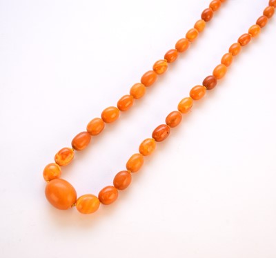 Lot 160 - A graduated oval amber bead necklace