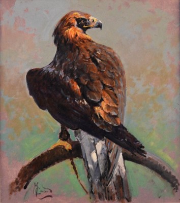 Lot 299 - Malcolm Coward (b.1948) Study of a Perched Eagle, and portrait of a lady