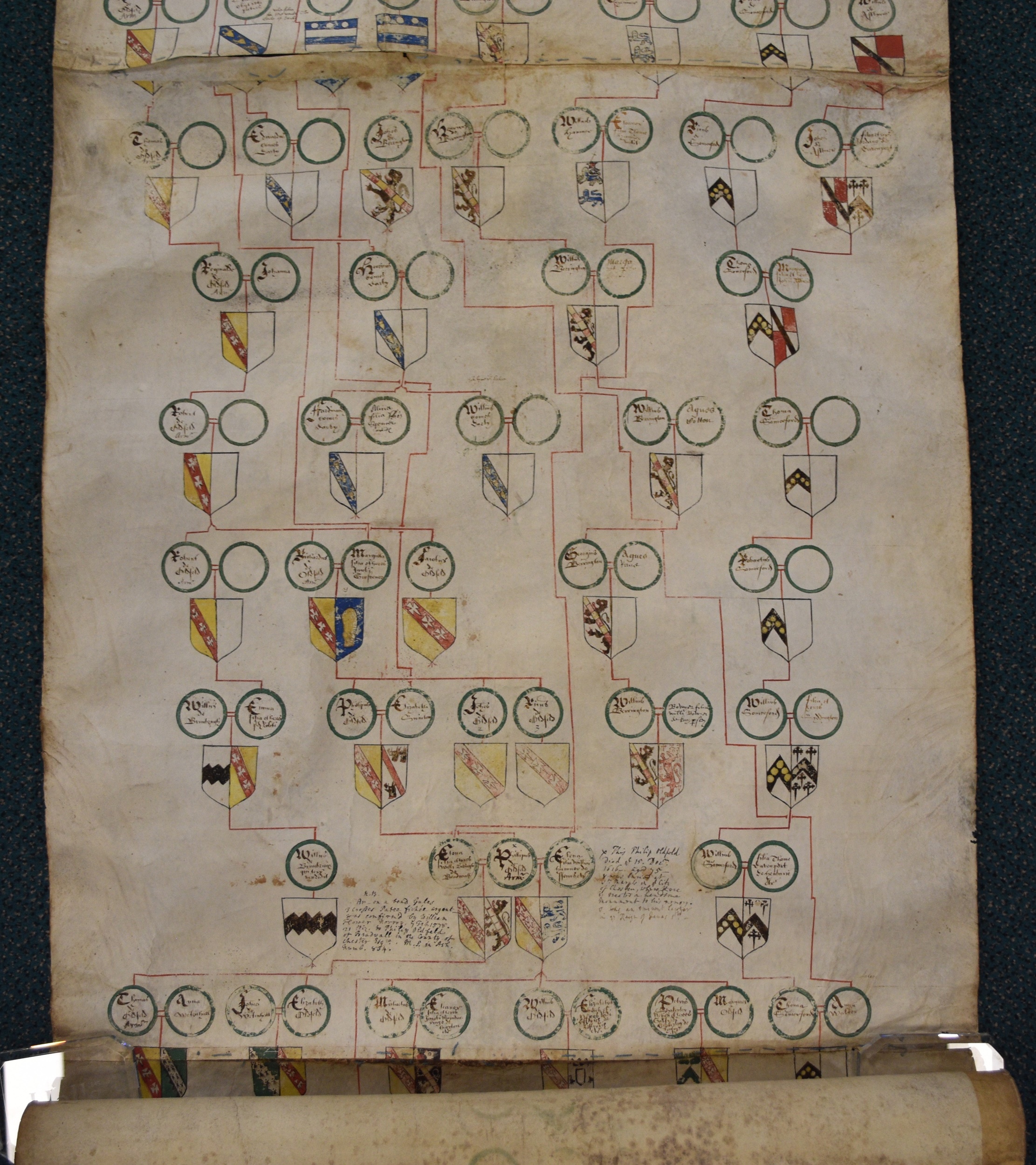 Lot 96 - MANUSCRIPT PEDIGREE OF THE OLDFIELD FAMILY.