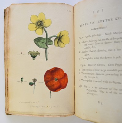 Lot 55 - MARTYN, Thomas, Thirty-Eight Plates, with Explanations intended to Illustrate Linnaeus' System of Vegetables