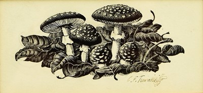 Lot 265 - Charles Frederick Tunnicliffe RA OBE (1901-1979) Mushrooms