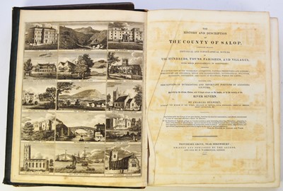 Lot 101 - HULBERT, Charles, History and Description of the County of Salop, 4to 1837. Quater calf over water-wave cloth; with PHILIPPS, T, History and Antiquities of Shrewsbury... (10) (box)