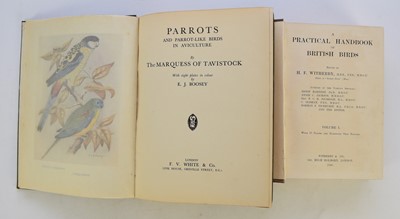 Lot 134 - RIDGELY, Robert S and TUDOR, Guy, The Birds of South America, vols 1 & 2, 1989 & 1994; with other birds books (box)
