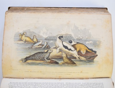 Lot 142 - BUFFON, Count de, Natural History. New edition edited by William Wood. 1812, 5 vols only, all concerning birds; with GOLDSMITH, Oliver, A History of the Earth and Animated Nature, 2 vols (7)