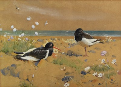 Lot 419 - Winifred Marie Louise Austen RI (1876-1964) Sea Piets