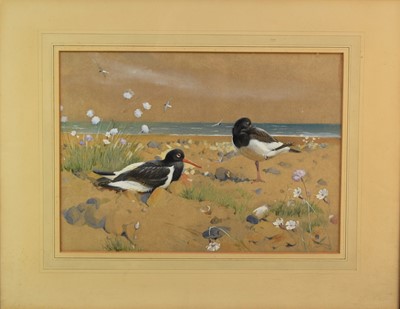 Lot 419 - Winifred Marie Louise Austen RI (1876-1964) Sea Piets