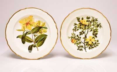 Lot 138 - Pair of Derby botanical plates, circa 1795-1800