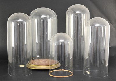 Lot 613 - A collection of six glass domes