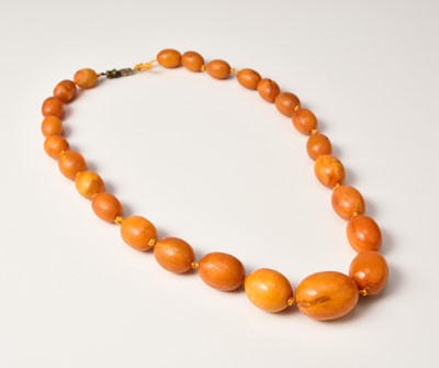 Lot 263 - A graduated oval amber bead necklace