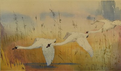 Lot 401 - Allen William Seaby (1867-1953) Mute Swans in Flight