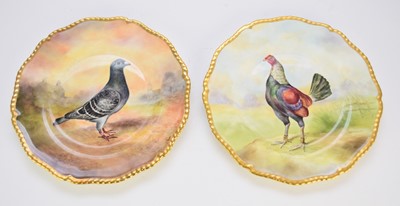 Lot 126 - A pair of plates painted by Richard Budd with a pigeon and a fighting cock