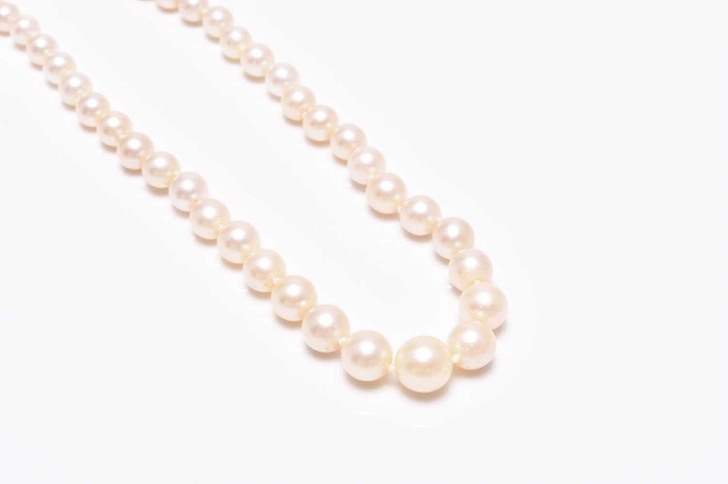 Lot 283 - A single strand graduated cultured pearl necklace