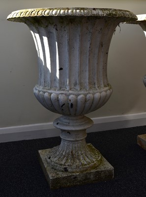 Lot 219 - A pair of cast iron garden urns, late Victorian
