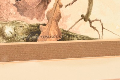 Lot 103 - Terence Lambert (British b.1951) Red Kite