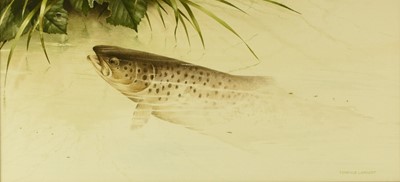 Lot 94 - Terence Lambert (British b.1951) Swimming Trout