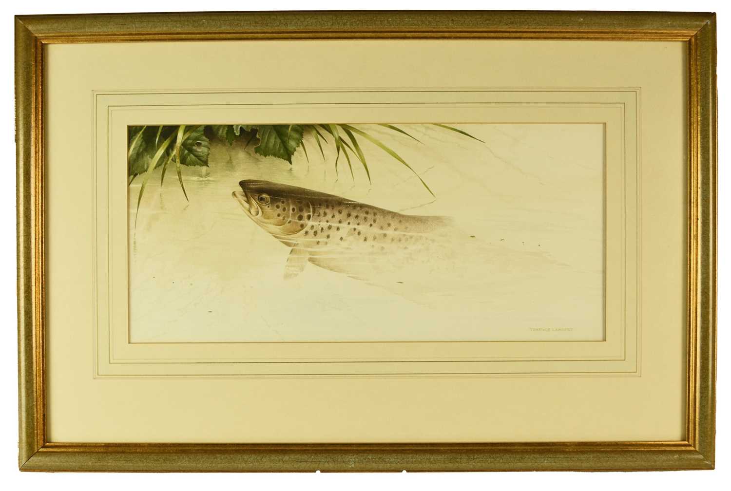 Lot 94 - Terence Lambert (British b.1951) Swimming Trout