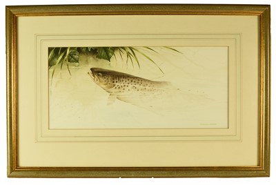 Lot 94 - Terence Lambert (British b.1951) Swimming Trout