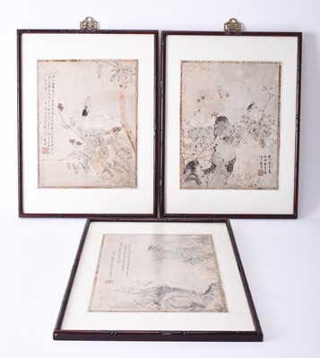 Lot 190 - Chinese school, Qing Dynasty, three nature studies