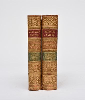 Lot 26 - GOLDSMITH, Oliver, A History of the Earth and Animated Nature. 2 volumes, 1852.