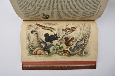 Lot 26 - GOLDSMITH, Oliver, A History of the Earth and Animated Nature. 2 volumes, 1852.