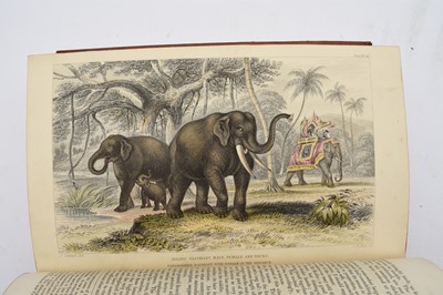 Lot 26 - GOLDSMITH, Oliver, A History of the Earth and Animated Nature. 2 volumes, 1852.