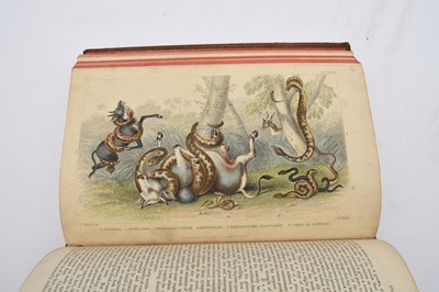 Lot 26 - GOLDSMITH, Oliver, A History of the Earth and Animated Nature. 2 volumes, 1852.