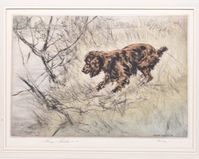 Lot 288 - Henry Wilkinson (1921-2011) A Collection of Eight Etchings of Gun Dogs and Birds