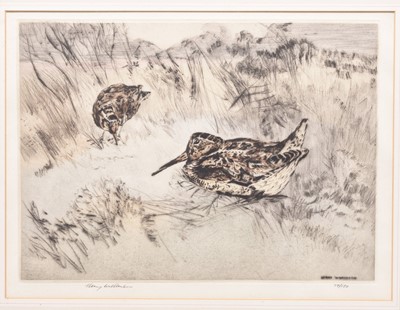 Lot 288 - Henry Wilkinson (1921-2011) A Collection of Eight Etchings of Gun Dogs and Birds