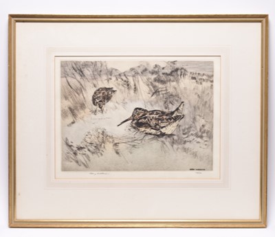 Lot 288 - Henry Wilkinson (1921-2011) A Collection of Eight Etchings of Gun Dogs and Birds