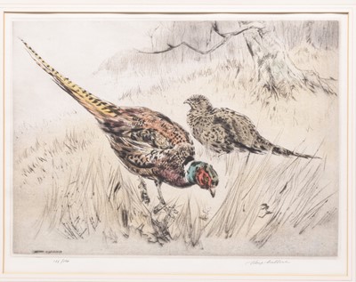 Lot 288 - Henry Wilkinson (1921-2011) A Collection of Eight Etchings of Gun Dogs and Birds