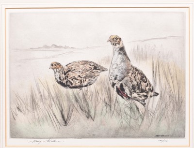 Lot 288 - Henry Wilkinson (1921-2011) A Collection of Eight Etchings of Gun Dogs and Birds