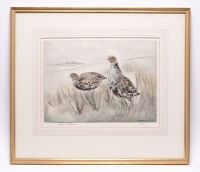 Lot 288 - Henry Wilkinson (1921-2011) A Collection of Eight Etchings of Gun Dogs and Birds