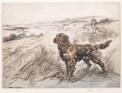 Lot 288 - Henry Wilkinson (1921-2011) A Collection of Eight Etchings of Gun Dogs and Birds