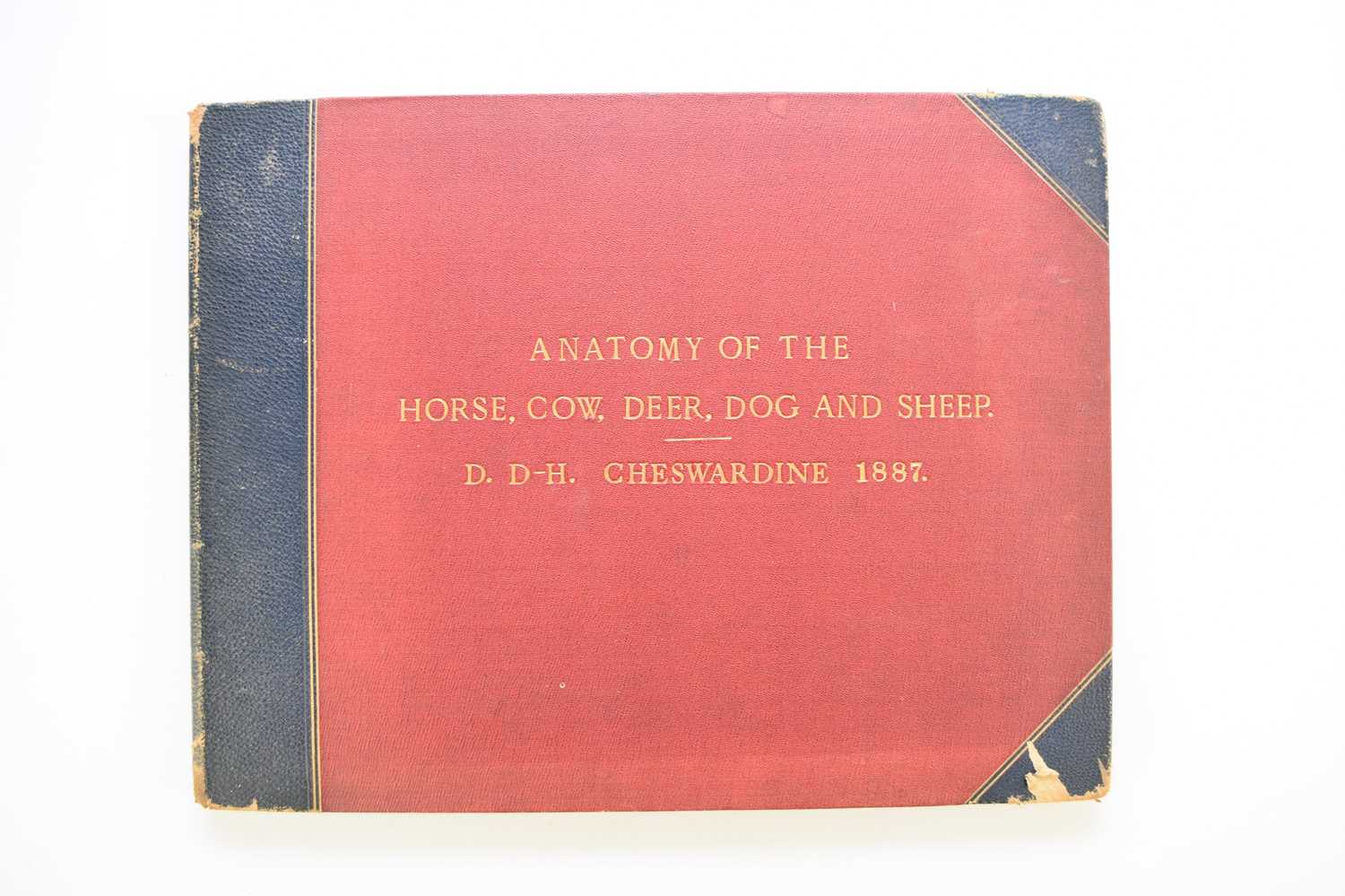 Lot 93 - MANUSCRIPT. Anatomy of the Horse, Cow, Deer, Dog and Sheep, Cheswardine, Shropshire, 1887.