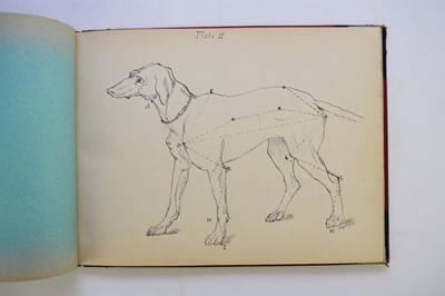 Lot 93 - MANUSCRIPT. Anatomy of the Horse, Cow, Deer, Dog and Sheep, Cheswardine, Shropshire, 1887.