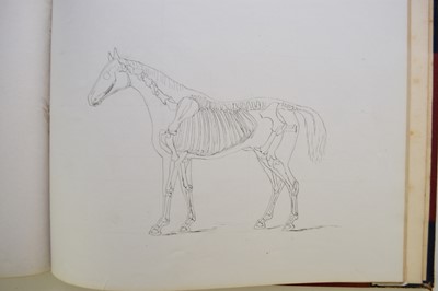 Lot 93 - MANUSCRIPT. Anatomy of the Horse, Cow, Deer, Dog and Sheep, Cheswardine, Shropshire, 1887.