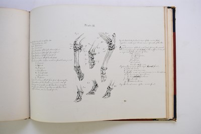 Lot 93 - MANUSCRIPT. Anatomy of the Horse, Cow, Deer, Dog and Sheep, Cheswardine, Shropshire, 1887.