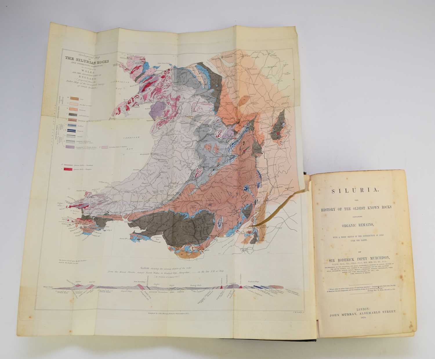 Lot 109 - MURCHISON, Sir Roderick Impey, Siluria, The Oldest Known Rocks. 1st edition 1854