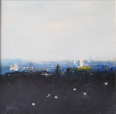 Lot 58 - Janet Ledger (b.1931) Perth from Kings Park