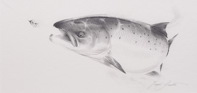 Lot 270 - Terence Lambert (b.1951) Two Salmon Drawings