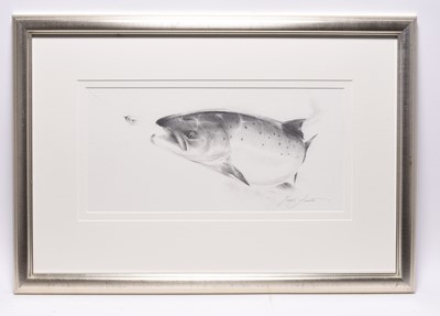 Lot 270 - Terence Lambert (b.1951) Two Salmon Drawings