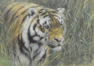 Lot 315 - Joel Kirk (b.1948) Prowling Tiger